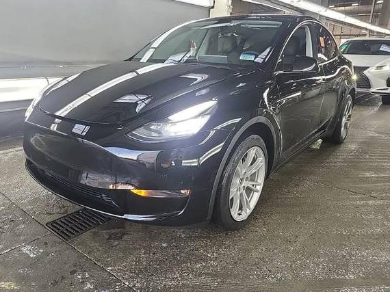 TESLA MODEL Y 2022 7SAYGDEE8NF407585 image